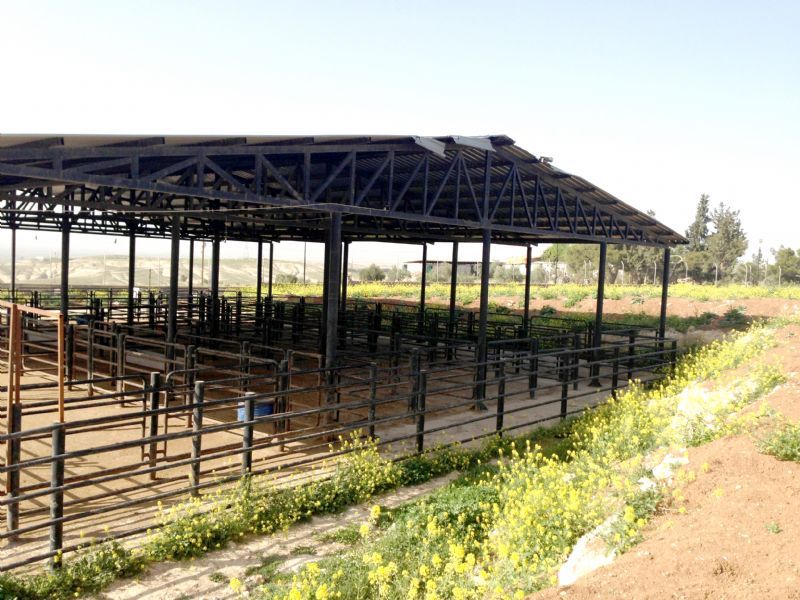 Bakanlar Et TÜRKİYE�nin En Büyük Et Tedarikçisi