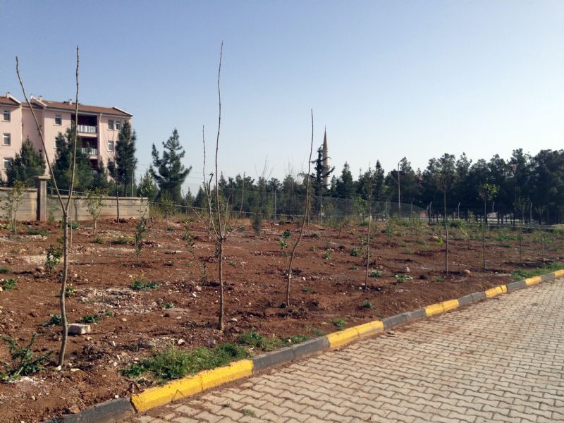 Bakanlar Et TÜRKİYE�nin En Büyük Et Tedarikçisi