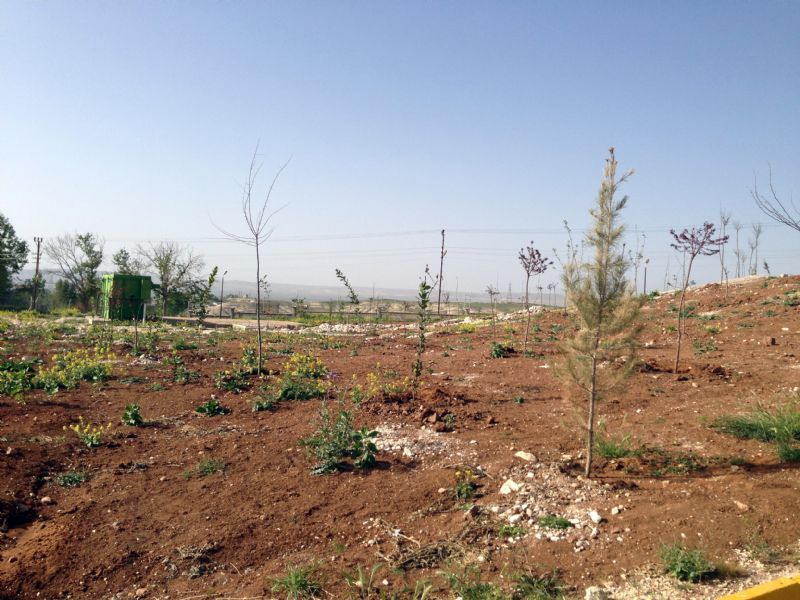 Bakanlar Et TÜRKİYE�nin En Büyük Et Tedarikçisi