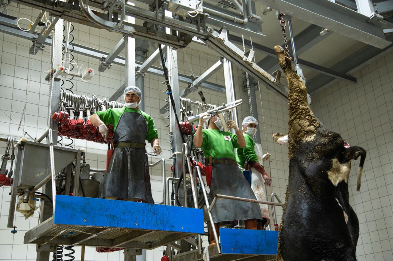 Bakanlar Et TÜRKİYE�nin En Büyük Et Tedarikçisi